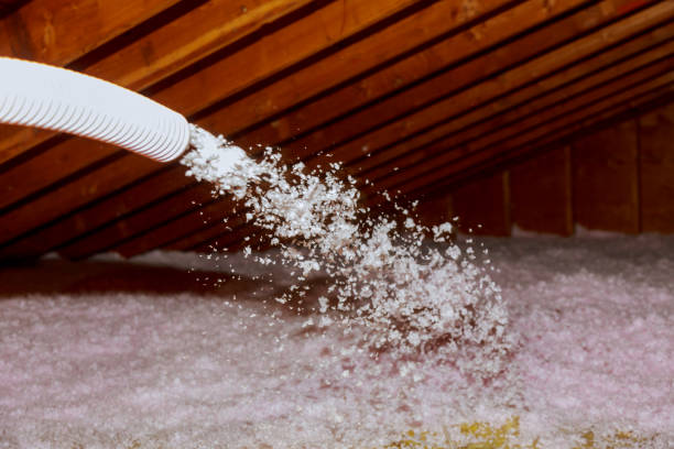 Best Eco-Friendly Insulation in Old Hill, CT